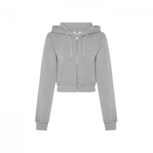 Női Trapstar TS-Star Silver Satin Applique Hoodie Pulcsi Szürke | Hungary GF05-129