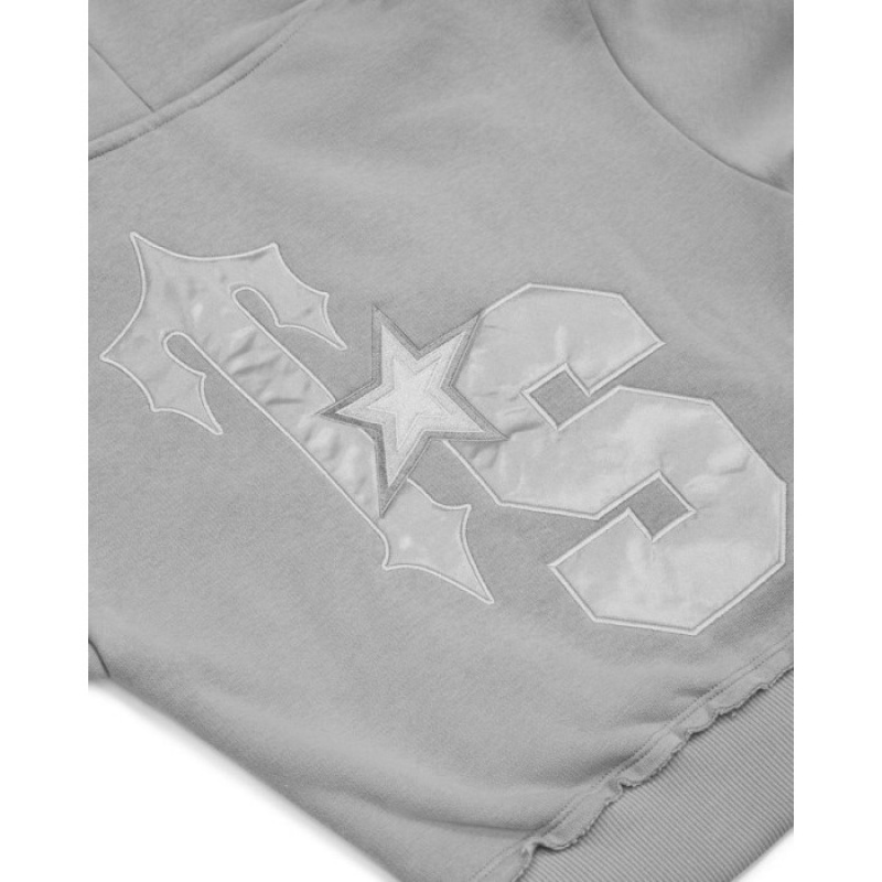 Női Trapstar TS-Star Silver Satin Applique Hoodie Pulcsi Szürke | Hungary GF05-129